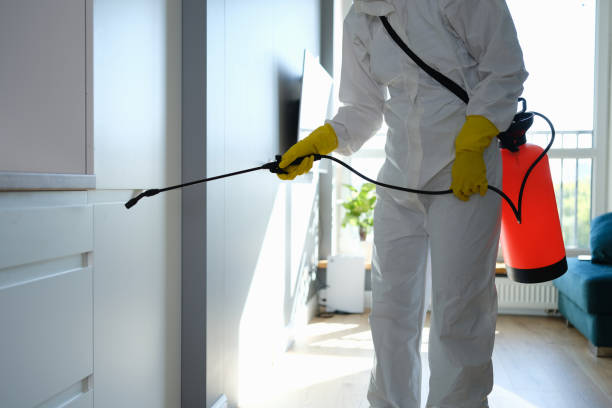 Best Water Damage Restoration  in Rock Springs, WY