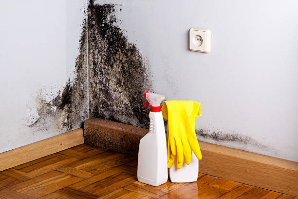 Best Water Damage Restoration  in Rock Springs, WY